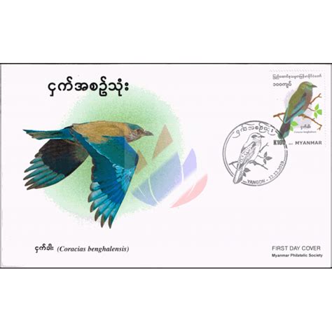 Vögel In Myanmar Hinduracke Coracias Benghalensis Fdci