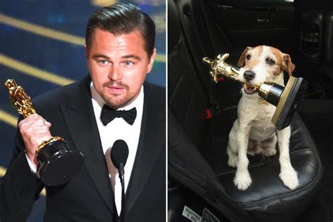 Celebrities And Their Dog Look Alikes