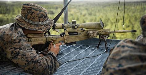 The Best Sniper Rifles Ever Made Outdoor Life