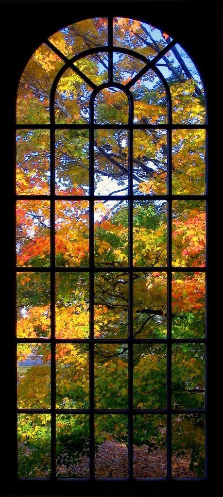 Pin By Carmela Patanè On Scenari Autumn Trees Fall Colors Scenery