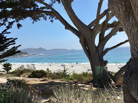 La Playa Carmel Updated 2022 Prices And Hotel Reviews Ca