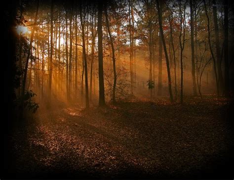 Maybe you would like to learn more about one of these? Unkown Secrets in Andrena Forest, a roleplay on RPG