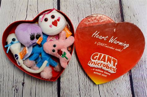 Perfect for special occasions or anytime you want to spread fun and learning. Say It With Heart ~ GIANTmicrobes Valentine's Gift Ideas ...