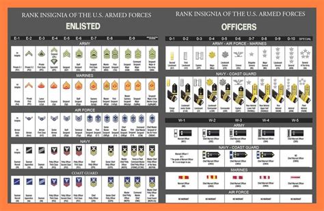 Us Military Rank Insignia Enlisted And Officer Military Ranks