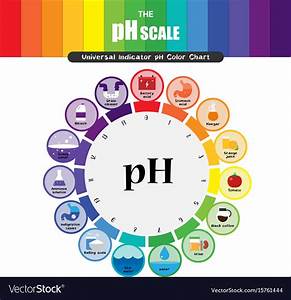 Ph Scale Universal Indicator Color Chart Vector Image