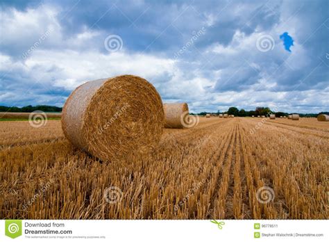 A Large Hay Bale After The Harvest Stock Image Image Of Meadow