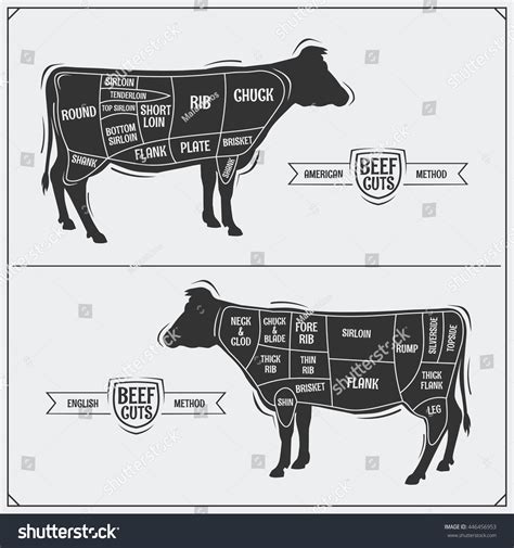 Cuts Of Beef American And English Method Royalty Free Stock Vector 446456953