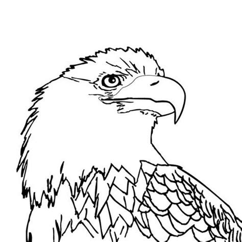 Drawing and coloring as one of the types of art allow developing the intellect and creativity of a person. Eagle Feather Coloring Page at GetColorings.com | Free ...