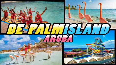 De Palm Island 🦩🦩🦩 Aruba 4k Youtube