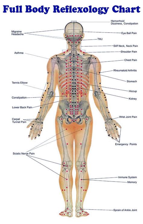 Back Massage Chart Of Pressure Points