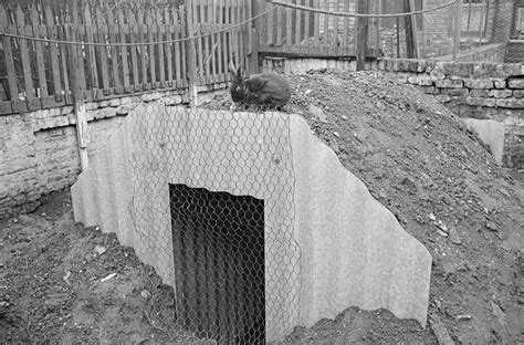 Backyard Bunkers Of The Blitz Pictures Of How London Families Lived In