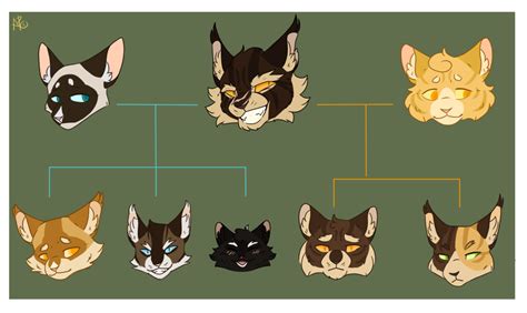 Warrior Cats Ultimate Cool Wolf Morphs