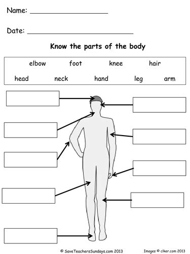 Body part clipart black and white. Parts of the Body lesson plan and worksheets by ...