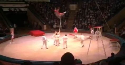 Watch Sickening Moment Circus Acrobat Smashes To Ground As Stunt Goes