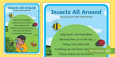 Insects Poster Poem Teaching Resources Teacher Made
