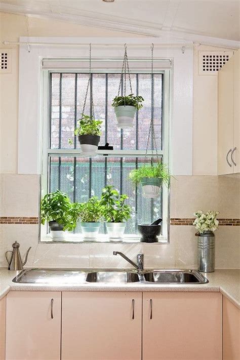 Kitchen Window Box Plants Windowcurtain