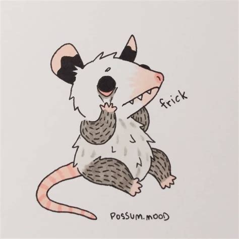 19 Possum Drawing Cute Sarbjitdariya