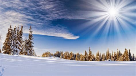 Winter Sunny Morning Nature Winter Landscape Winter Desktop