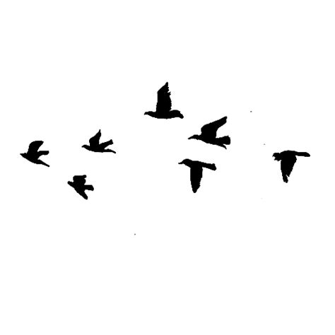 Brush Flying Birds Png Transparent Background Free Download 3501