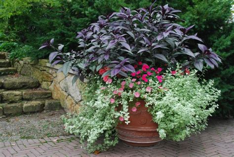 Container Gardening Dirt Simple Shade Plants Container Container
