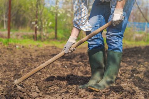 How To Prepare Your Soil For Spring Planting