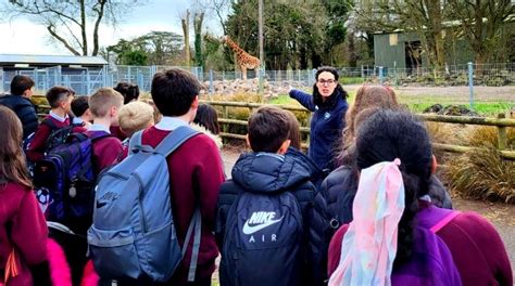 Woodford Primary School Year 6 Visit Paignton Zoo