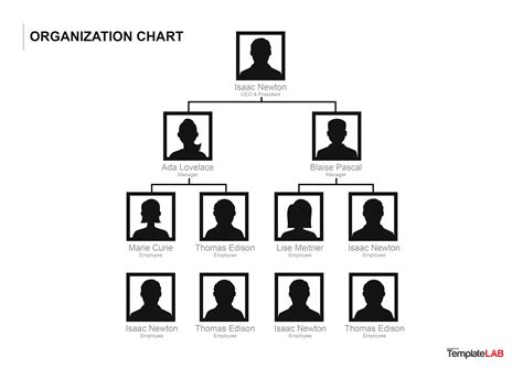 Organizational Chart Templates Word Excel Powerpoint Psd