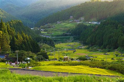 Japanese Rural Landscape With Rice Field Terraces Stock Photo Image