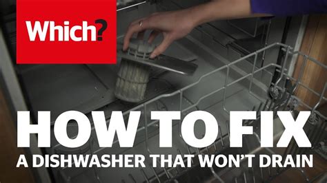 How To Repair A Dishwasher That Wont Drain Which Advice Youtube