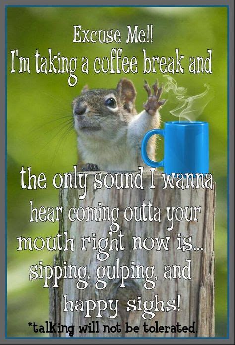 Squirrel Meme Friday Coffee Quote Good Morning Quotes Pinterest