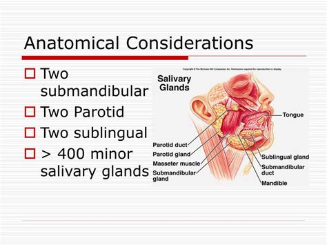 Ppt Salivary Glands Disorders Powerpoint Presentation Free Download