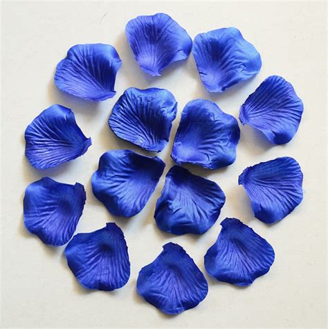 Free Photo Flower Petals Colors Nature Seeds Free Download Jooinn