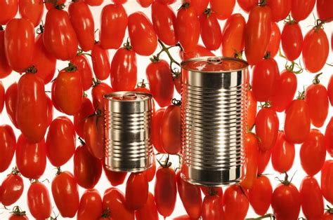Petto di faraona lardellata con spinaci e riduzione di aceto balsamico; Pomodoro da industria 2018, il trasformato a -11,5% sul ...