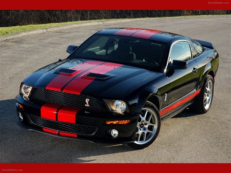 Black Mustang Cobra Stang With Red Racing Stripe Classic Ford