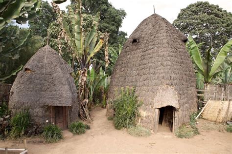 African Tribal Huts Stock Photo Image Of Dorze Tribalculture 31454590