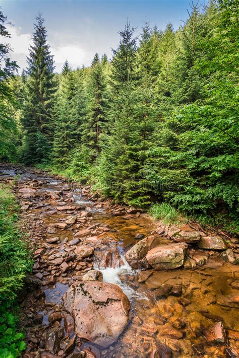 Beautiful Mountain Stream On A Sunny Summer Day Stock Image Image Of