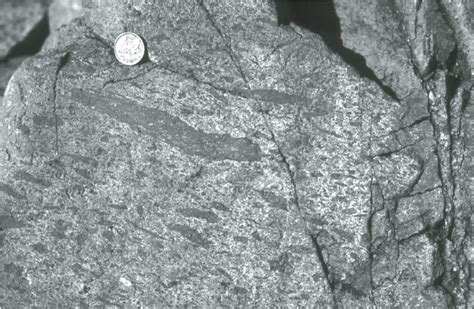 Eutaxitic Texture In Welded Ash Fl Ow Tuff Bell Island Bay Group