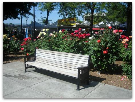 Park Bench Comes With A Vancouver Wa Rose Garden