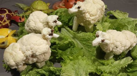 Cauliflower Sheep Moutons En Choux Fleur Coliflor Oveja Youtube