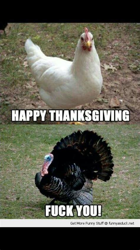 15 funny thanksgiving day memes design corral