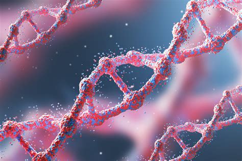 Scientists Identify Genetic Risk Factor For Alzheimers Drug
