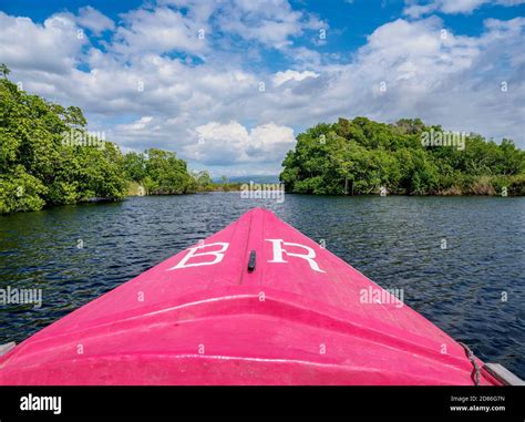 Black River Safari Saint Elizabeth Parish Jamaica Stock Photo Alamy