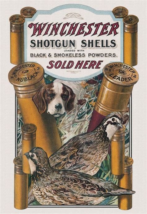 Vintage Winchester Shotgun Shell Ad Shoot Pinterest