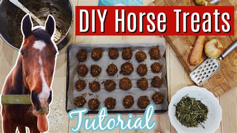 Diy Horse Treats Super Easy And Quick Tutorial Lock Down Day 24