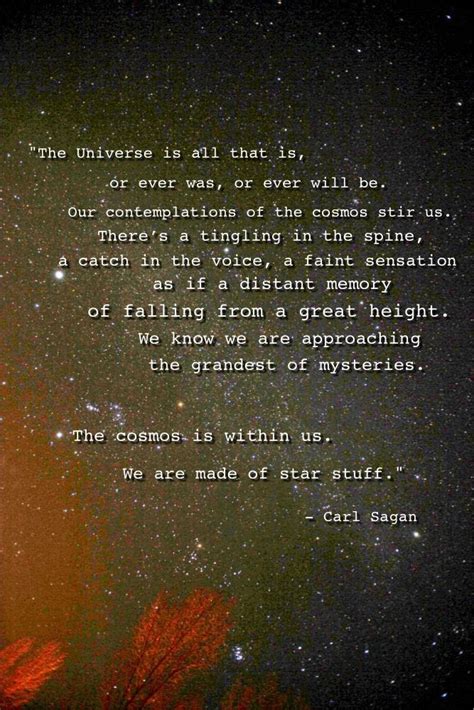We Are Made Of Star Stuff Science Quotes Carl Sagan Carl Sagan Quote