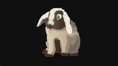 Rabbit Hare Minimalism 1080p Wallpapers Widescreen Fhd