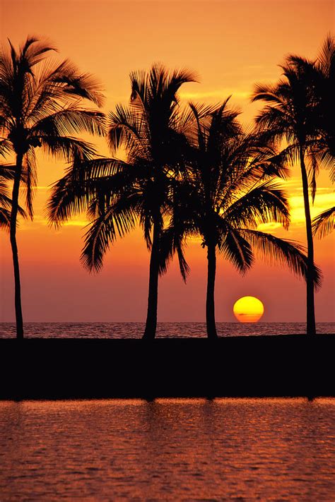 Wat Up World Hawaiian Beach Sunset Leena Robinson 1s4217o