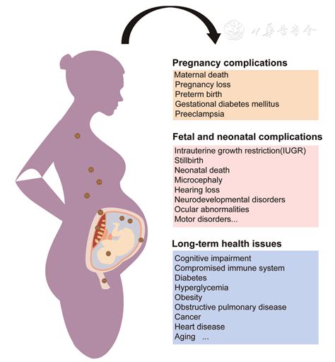 Viral Infections During Pregnancy The Big Challenge Threatening