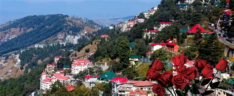 Shimla Manali Honeymoon Manali Rohtang Tours