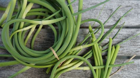 The Difference Between Green Garlic And Garlic Scapes